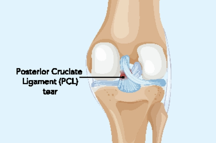 Breeze Multidisciplinary Rehabilitation